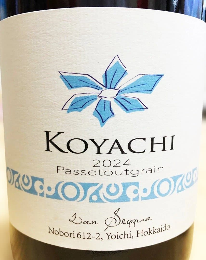 ランセッカ KOYACHI パストゥグラン 2024 4本セット