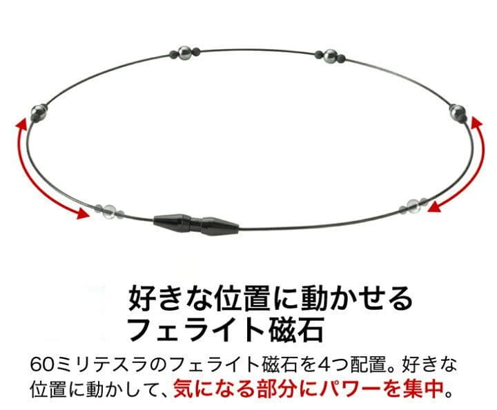phiten RAKUWAネック EXTREME ステーション　シルバー５０cm
