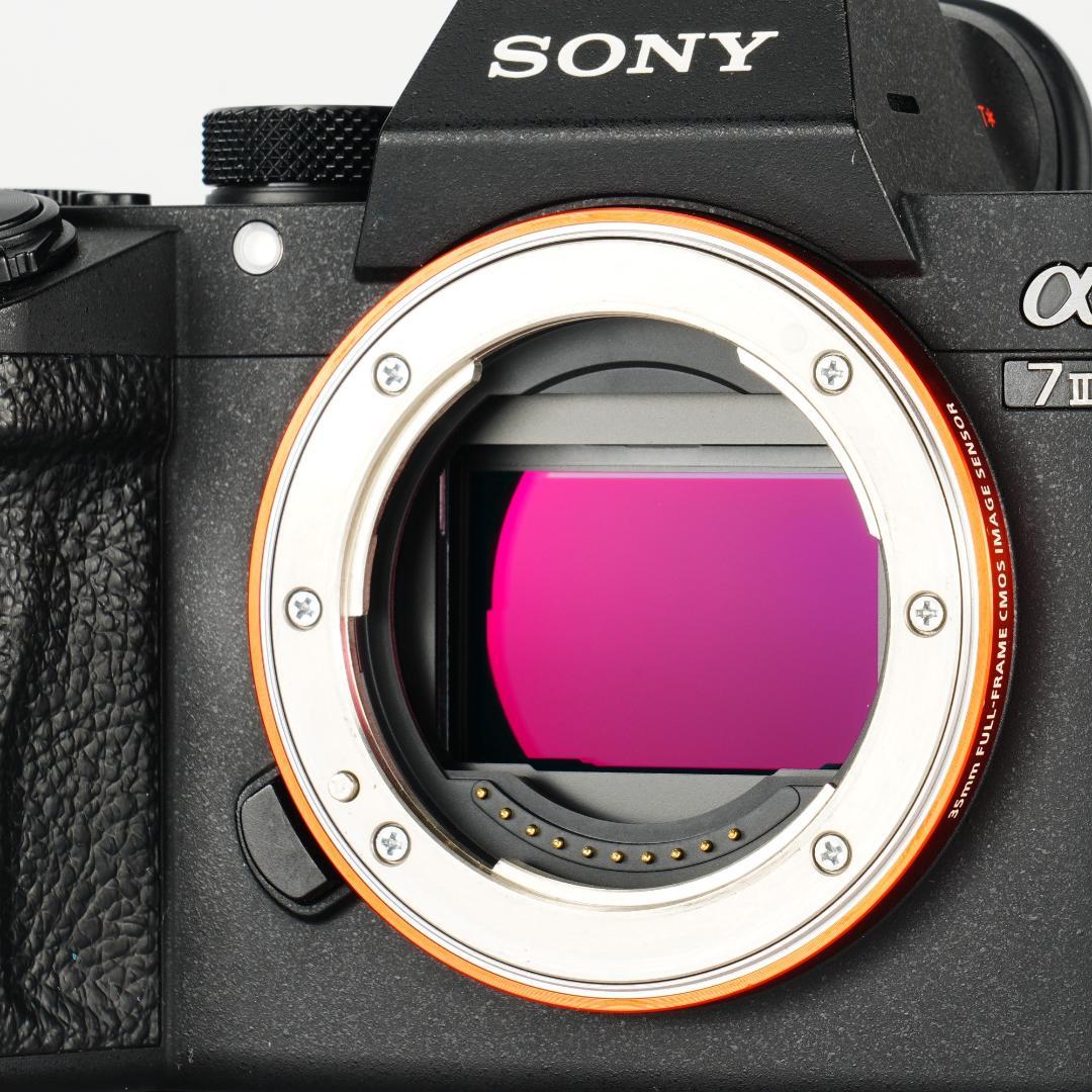 【完全セット】α7III美品！SONY ミラーレス一眼 すぐ撮影可能 112