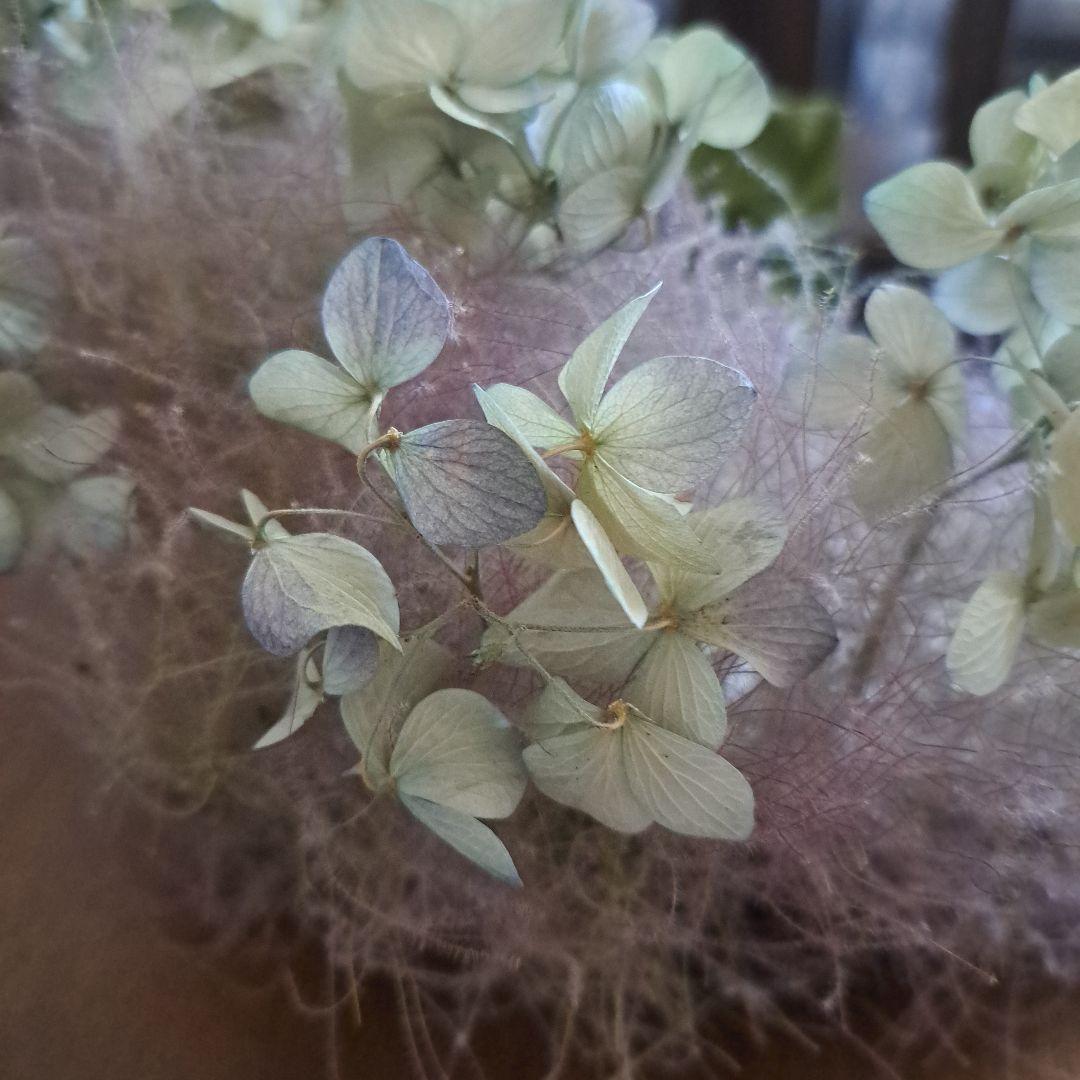 スモークツリー　+紫陽花付け足し　ラッピング