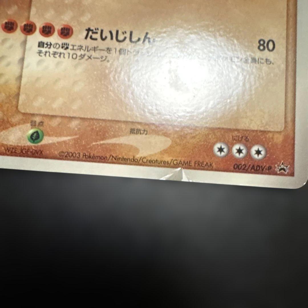 ポケモンカード ADV・PCGシリーズ プロモカード まとめ売りセット② 10枚