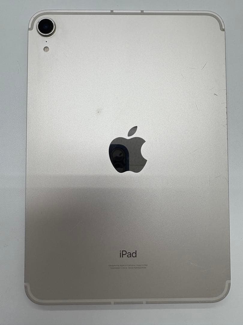 iPad本体 SKST