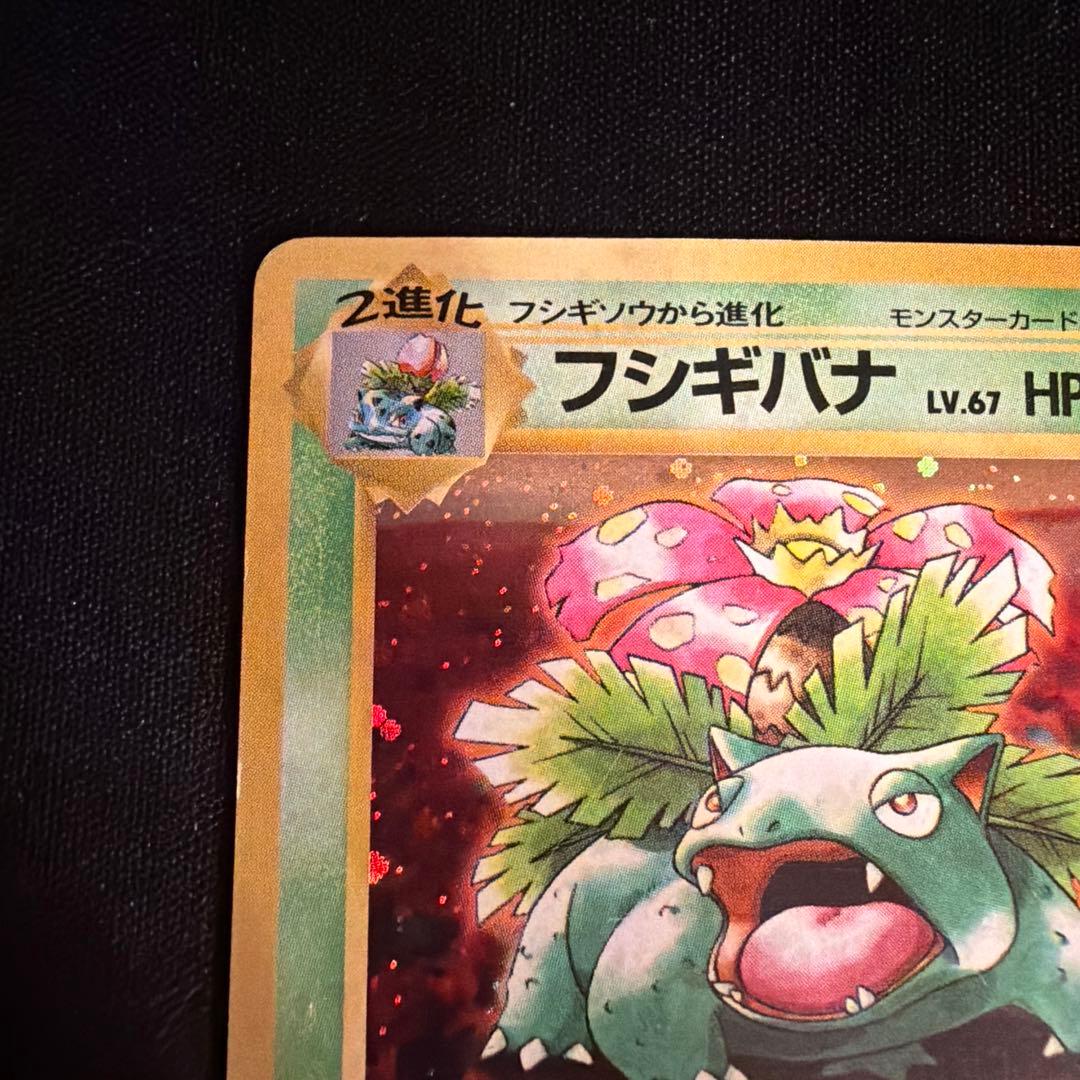 旧裏　フシギバナ（Venusaur）　とりかえっこプリーズ　PROMO ポケモン