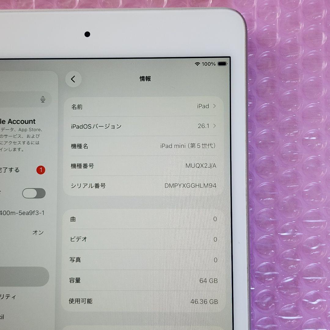 iPad mini 第5世代　バッテリー良好　Wi-Fiモデル　64GB