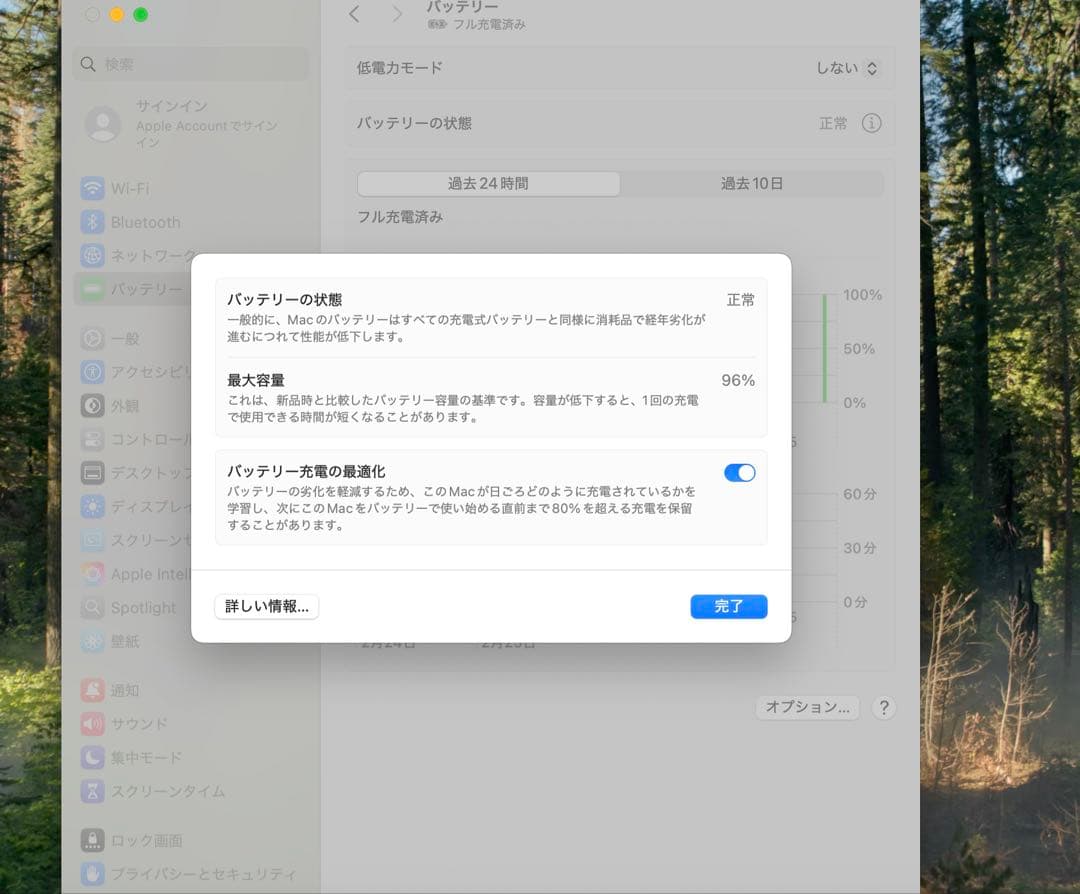 Apple MacBook Air M1 8GB 512GB バッテリー96%
