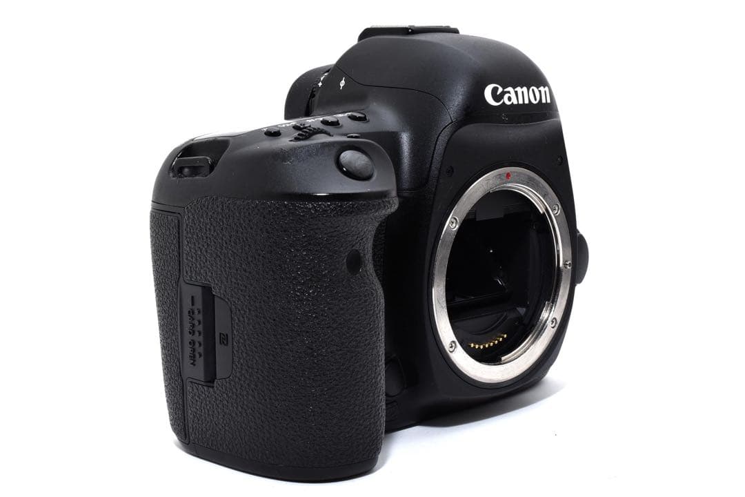 デジタル一眼レフカメラCanon EOS 5D Mark IV望遠レンズセット