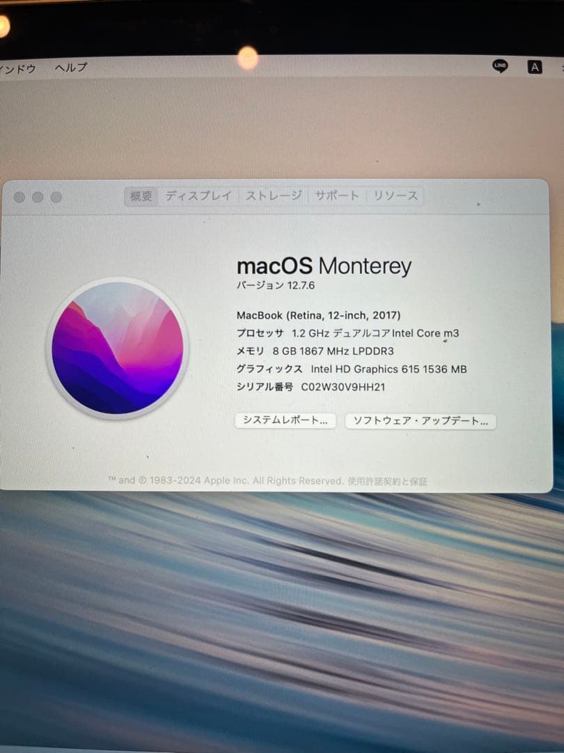 【状態良好】MacBook (Retina, 12-inch, 2017)