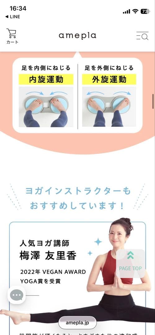 【極美品】関節ツイストボード Circle balance(サークルバランス)