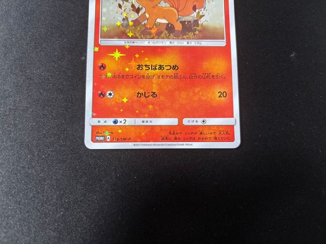 ロコン PROMO SM-Pプロモカード 146/SM-P