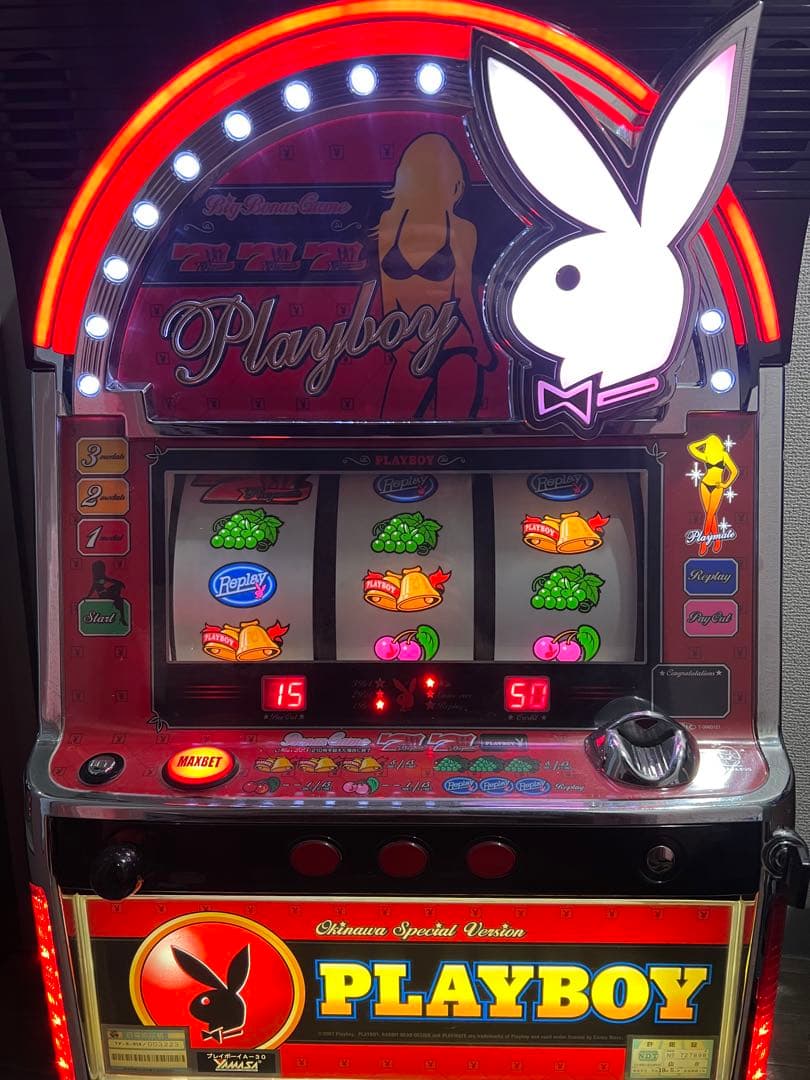 【送料無料】パチスロ　スロット　プレイボーイ　PLAYBOY　30φモデル　山佐