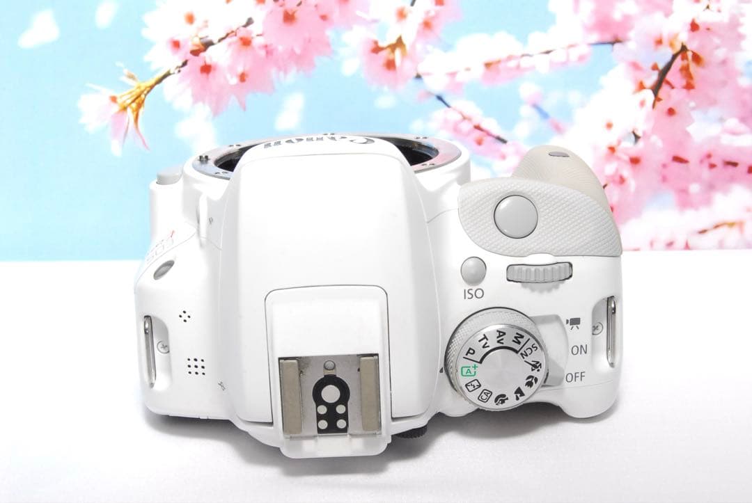 3連休限定価格❤️Canon Kiss X7❤️ホワイト❤️ダブルレンズキット