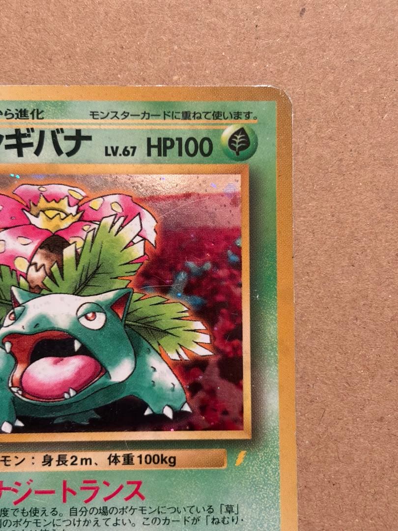フシギバナ とりかえっこプリーズ キャンペーンカード プロモ 第1世代 旧裏