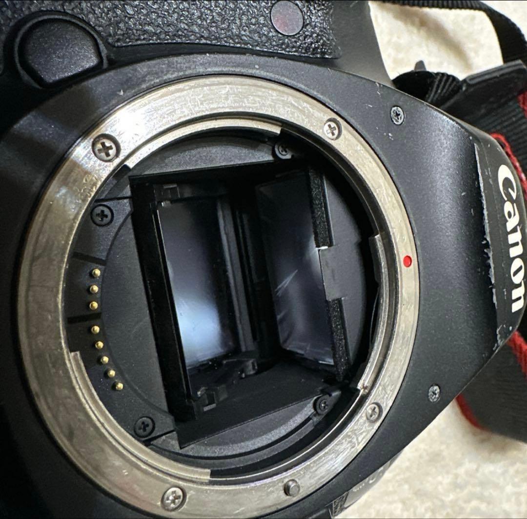 Canon mark III 5D 一眼レフ　キャノン