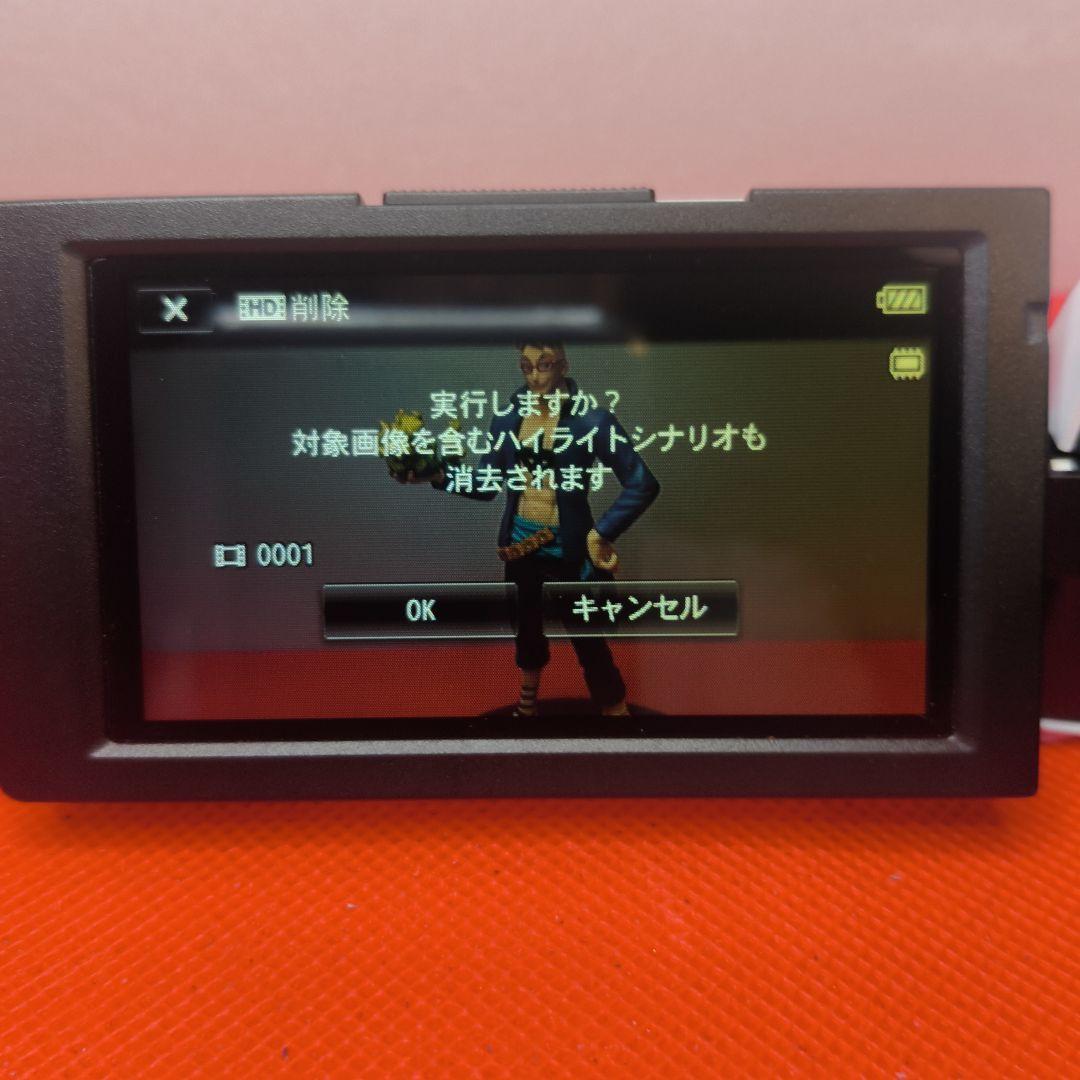 【動作確認済】SONY ソニー HDR-PJ390 ハンディカム