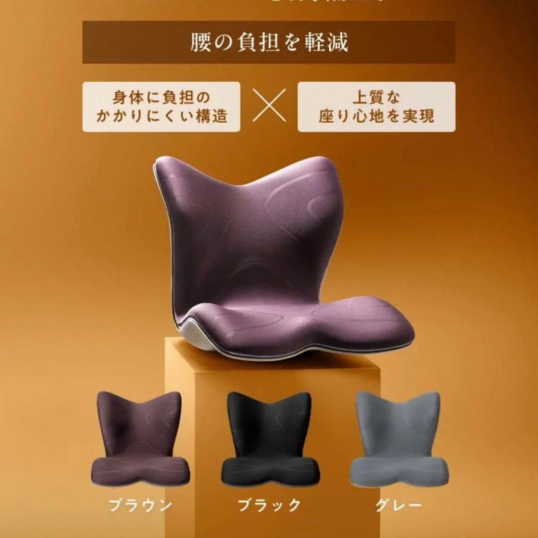 MTG スタイルプレミアム 骨盤矯正クッション【新品未使用】