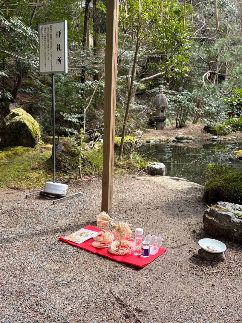 精麻龍Mタイプ最強開運日生まれ②