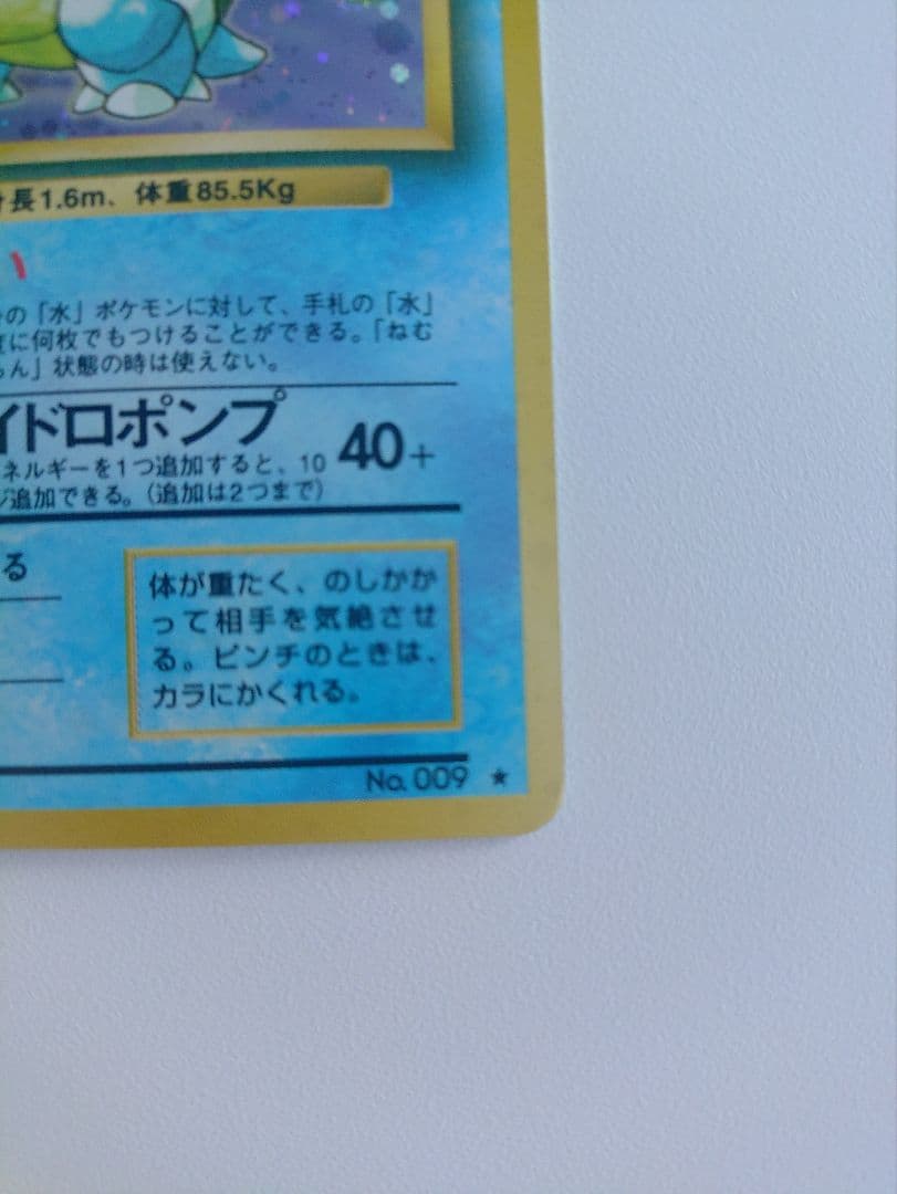 旧裏　カメックス