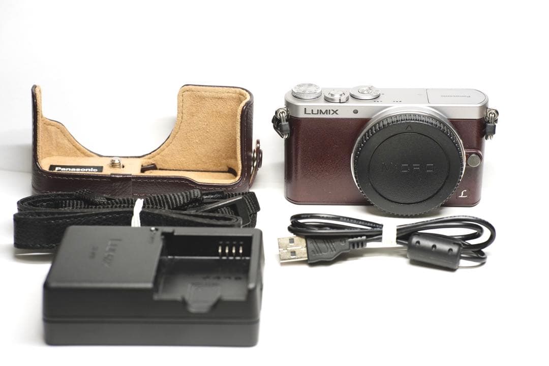 Panasonic LUMIX DMC-GM1S コンパクトデジタルカメラ