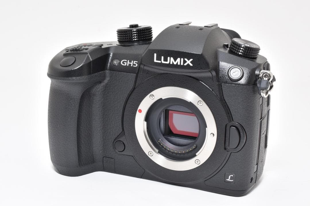 パナソニック Panasonic LUMIX RD-SPM049 (GH5)