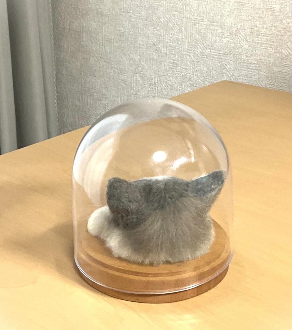 スコティッシュストレート 羊毛フェルト ドーム型ケース入り猫 立ち耳