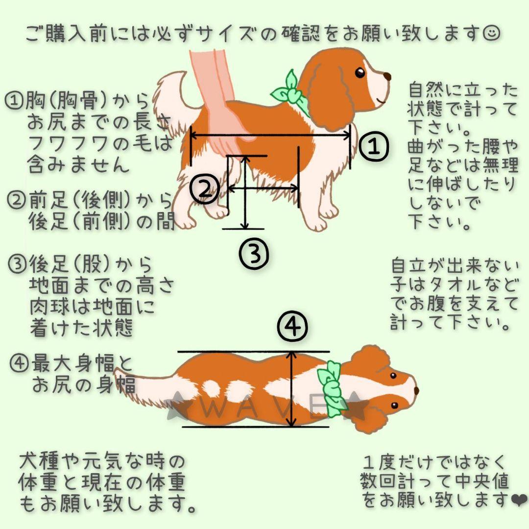 ともも　犬用車椅子　犬の歩行器　シニア犬　犬の車いす　歩行補助サポート