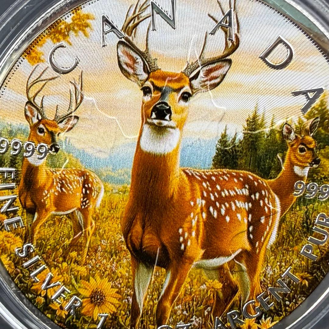 メイプルリーフ 銀貨 カラー 自然と動物の融合 鹿の群れ シカ 1オンス 1oz