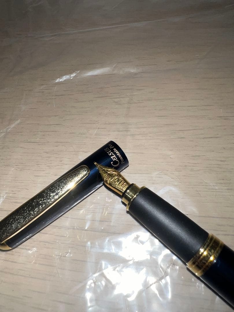 OHTO（オート）の「セルサス」の万年筆 10本セット