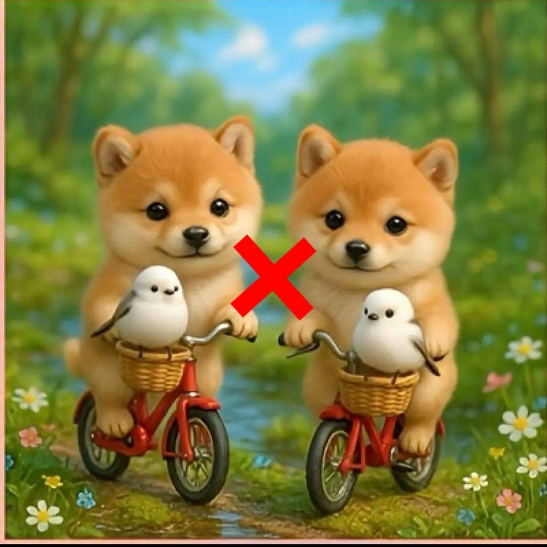 チワワ、柴犬、シーズ、マルチーズ、ポメラニアン、トイプードルとシマエナガパネル