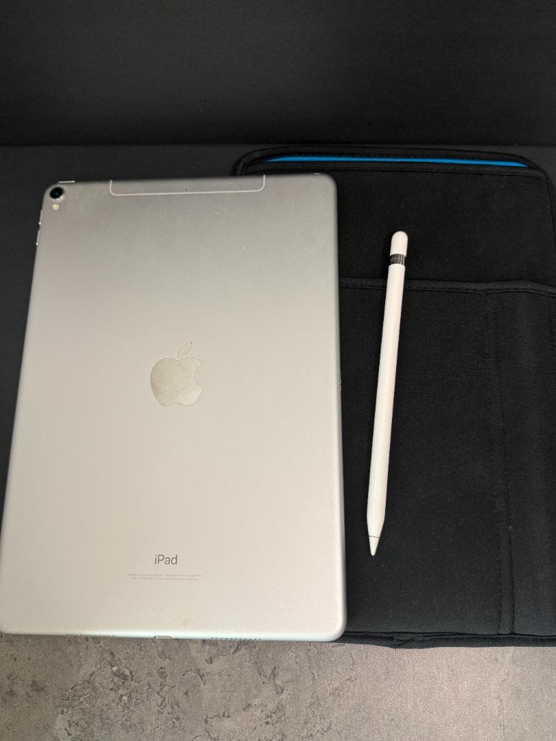 ipad pro 10.5 cellular 256GB ＋ ペン付き