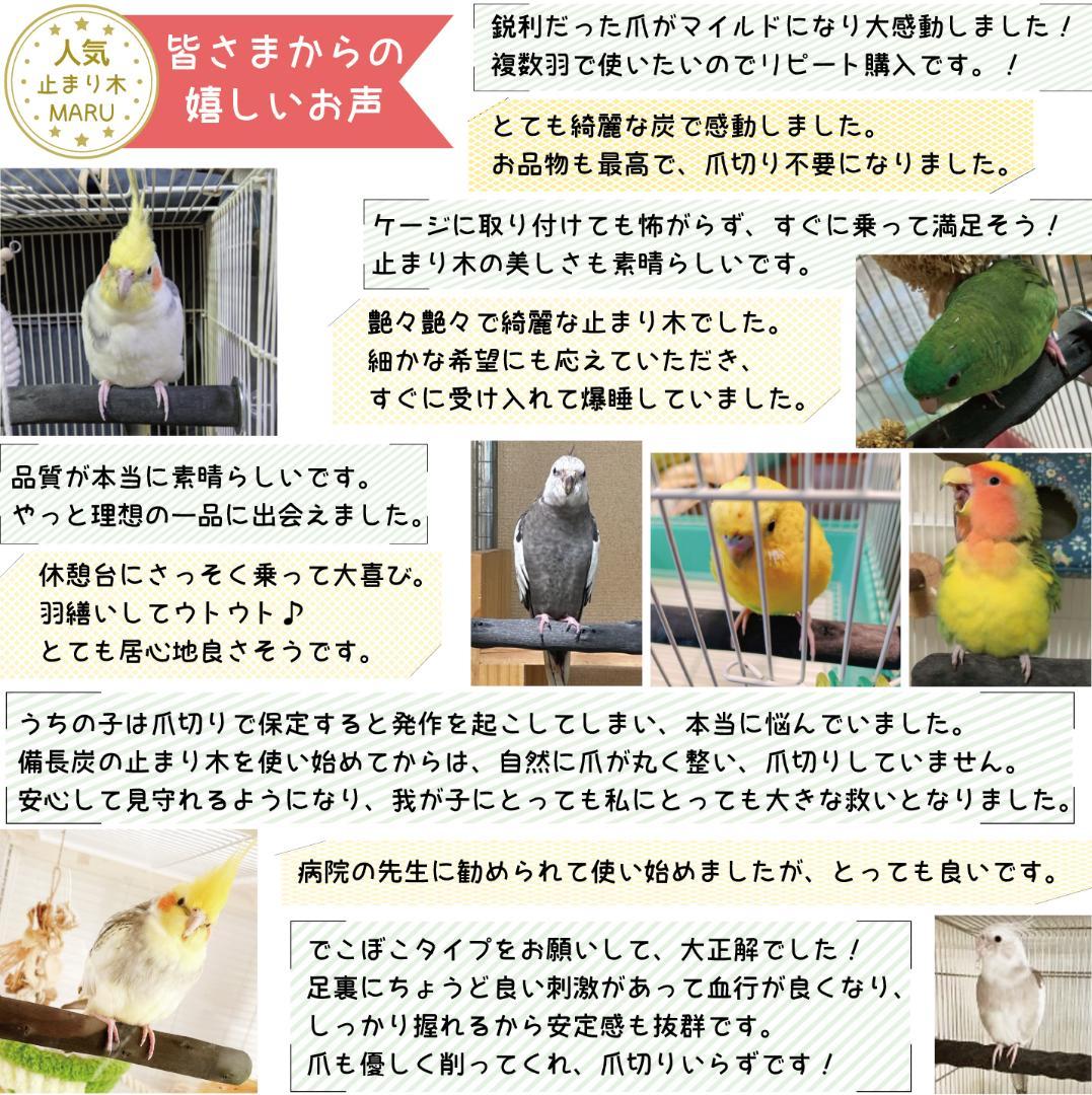 マミー