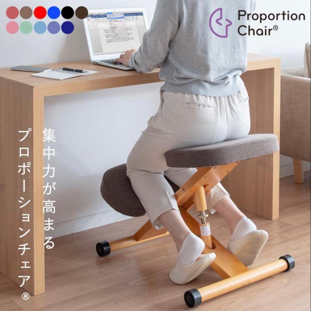 人気カラー✨️宮武製作所 プロポーションチェア　姿勢矯正　学習椅子デスクチェア