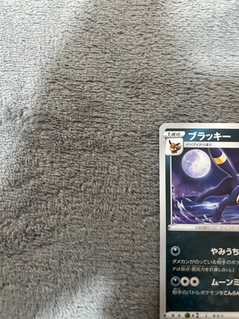 ブラッキー ジムプロモ