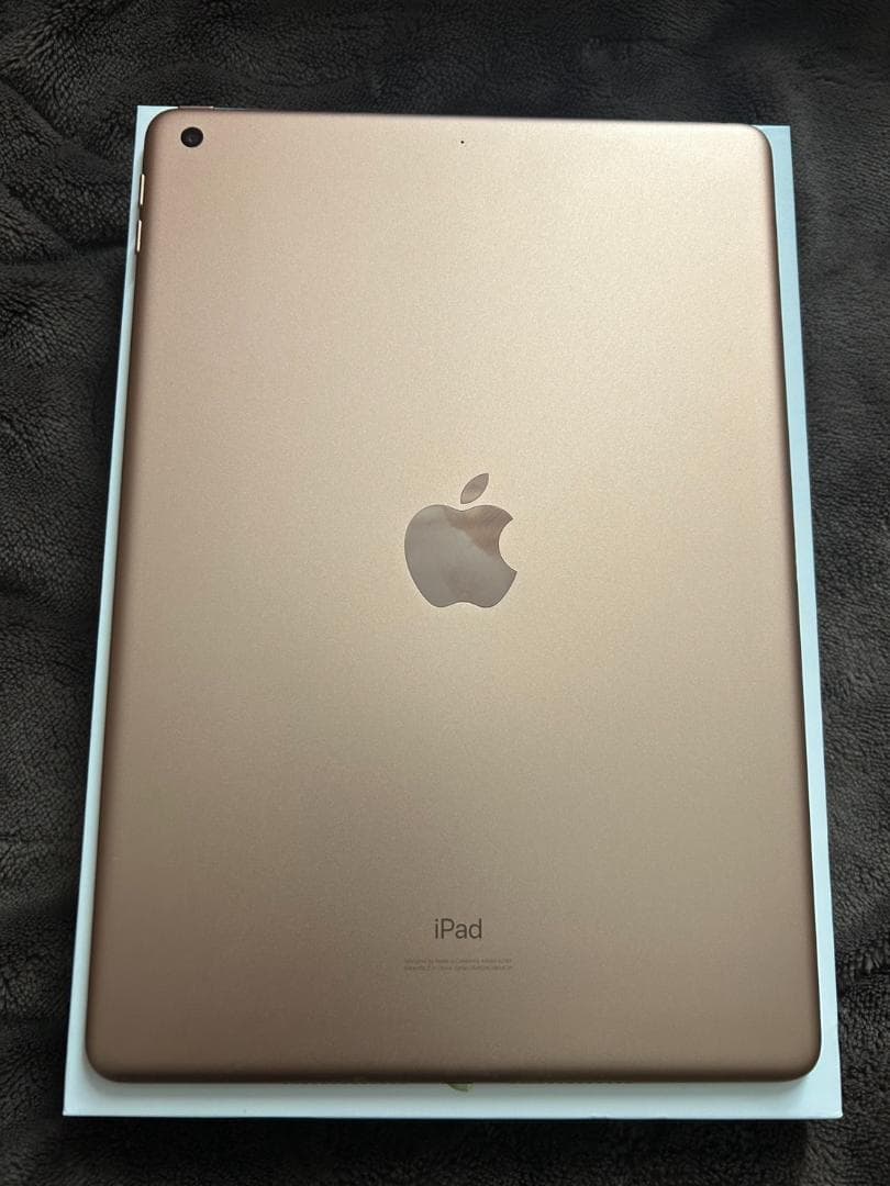 【注意⚠️ジャンク品】Apple iPad (第7世代) 32GB
