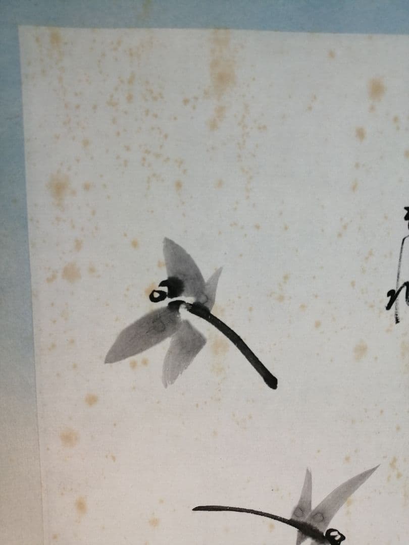 【茶道具】表千家  即中斎宗匠筆 而妙斎箱書『文筆色紙蜻蛉画賛』茶掛け　B342