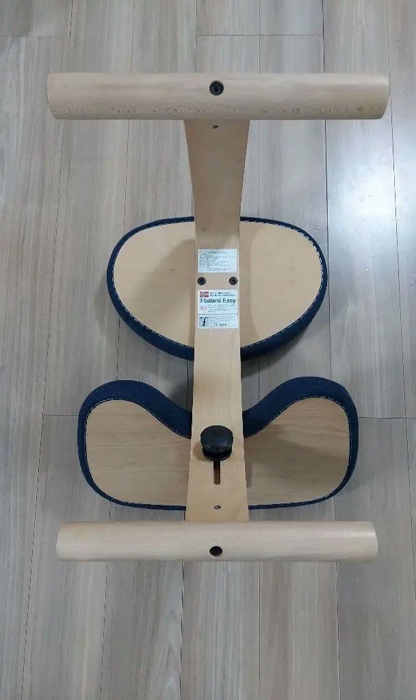 balans Easy バランスチェア
