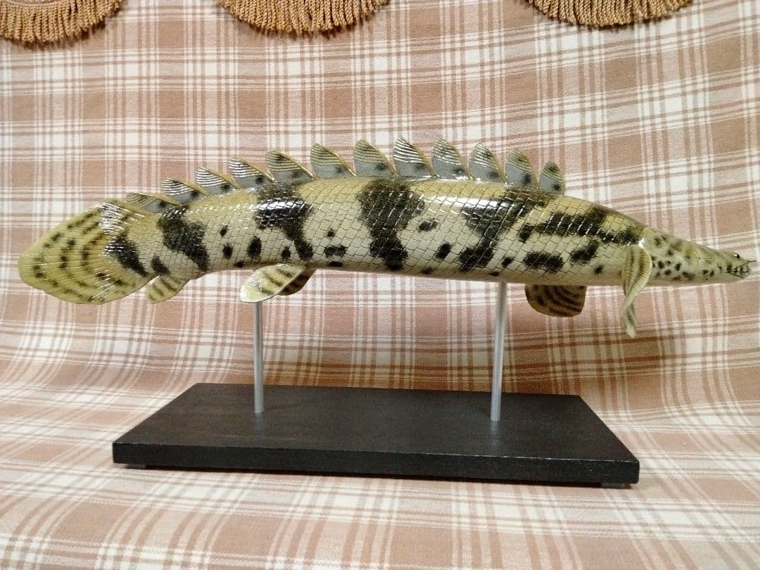 ハンドメイド　50cmポリプテルス　フィギュア　レプリカ　熱帯魚　オブジェ
