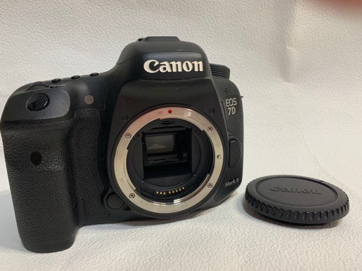 canon 7d mark2 sigma 50-500mm エクステンダー