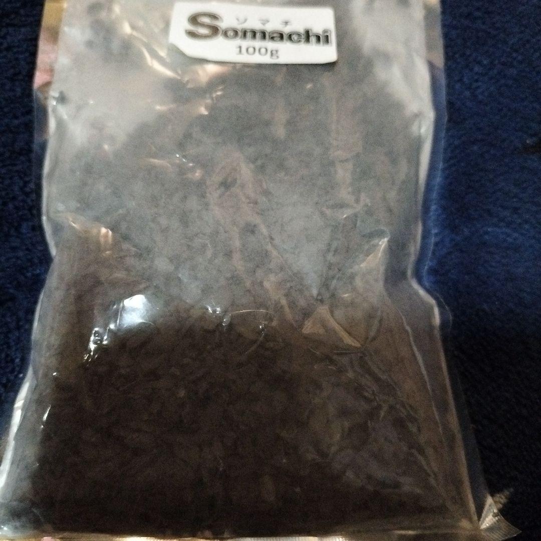 訳あり ソマチ 粉末 somachi ソマチッド ソマチット100g 2袋