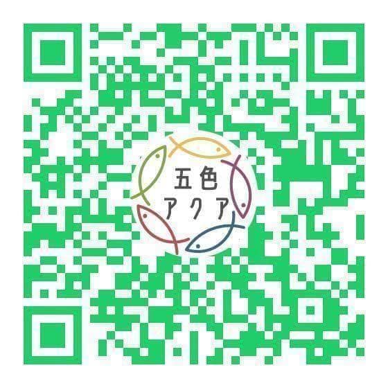 メダカ飼育ケース 36㍑x4個（薄灰・深緑・水色あり）大雨対策付 金魚鉢飼育容器