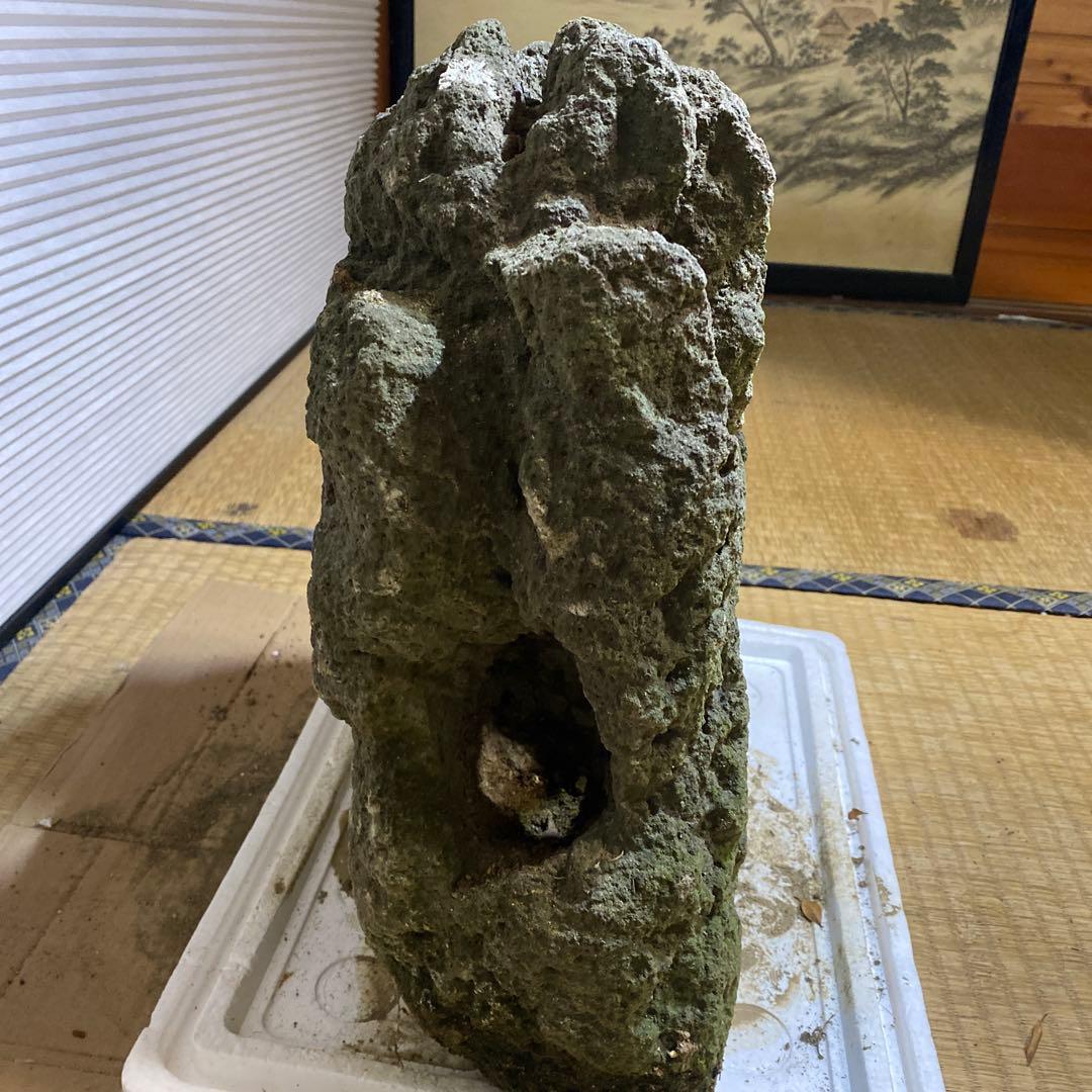 美形】軽石　岩石　水槽　装飾 アクアリウム　NO5