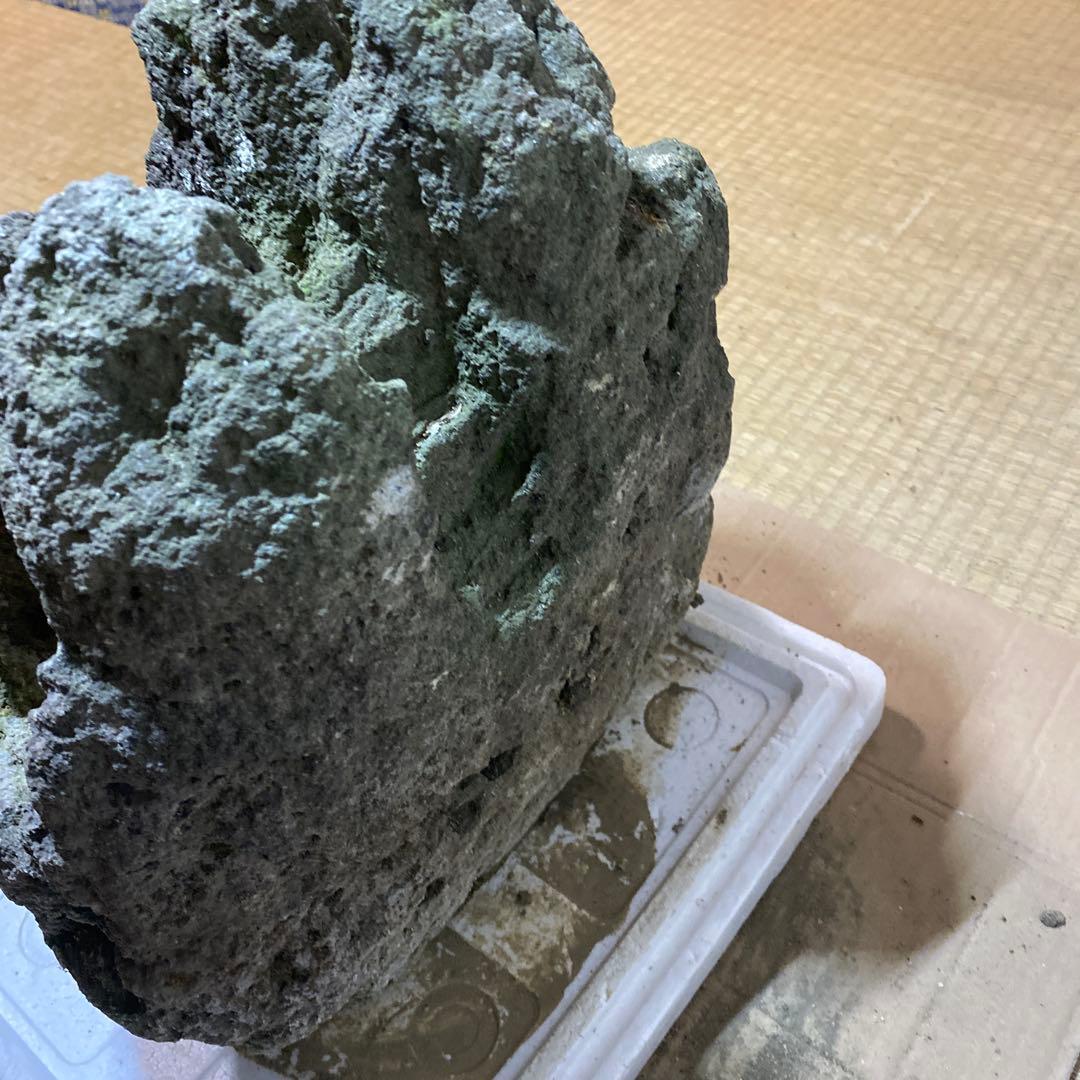 美形】軽石　岩石　水槽　装飾 アクアリウム　NO5