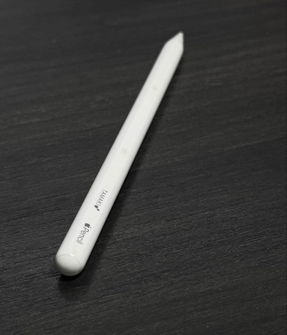 良品　正常動作確認　Apple Pencil 第2世代　MU8F2J/A　r13