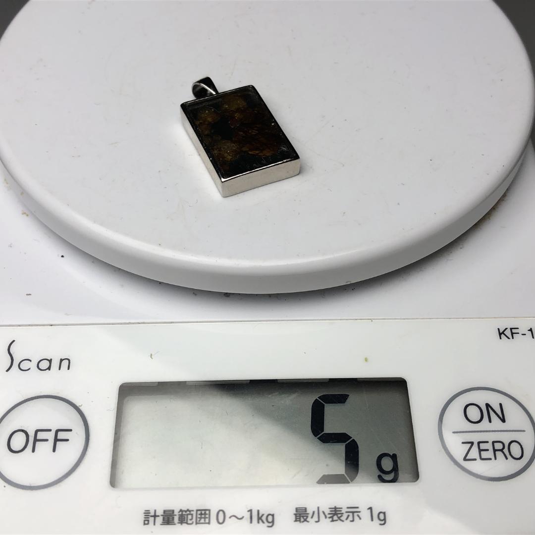 パラサイト隕石 隕石　石鉄隕石　セリコ隕石　重さ約5ｇ　ケース付