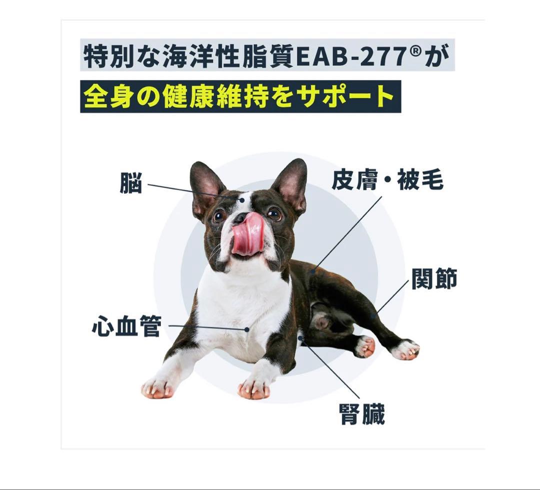 アンチノール+ 90粒