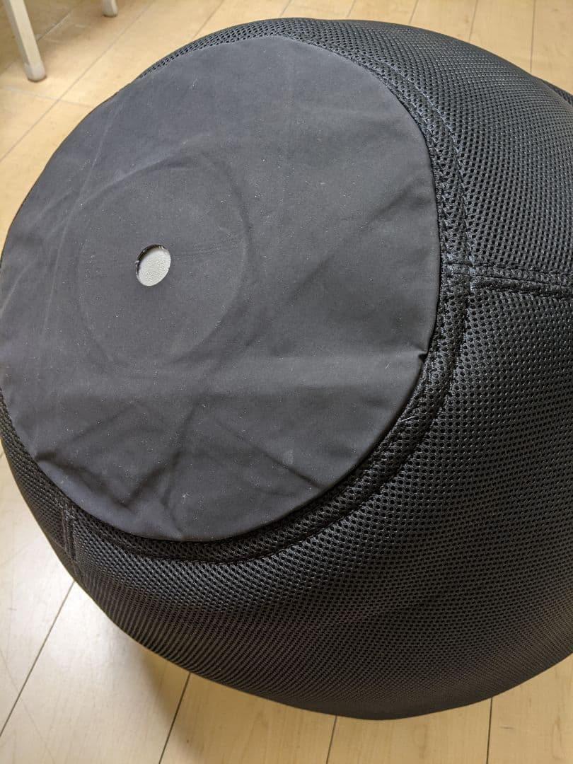 TECHNOGYM バランスボール