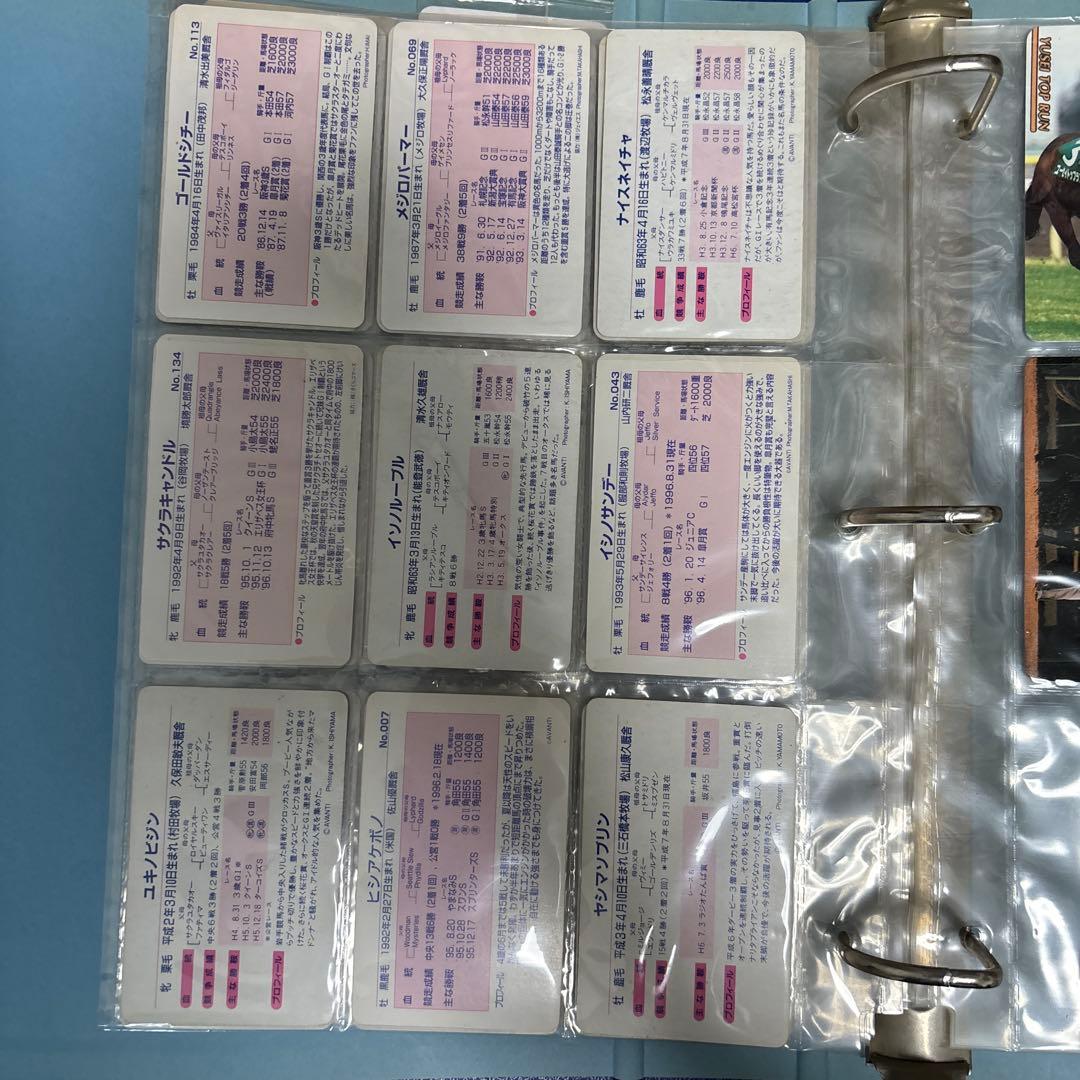 東ハト　競馬カード　ファイル　サイレンススズカ　カード　ナリタブライアン　未開封