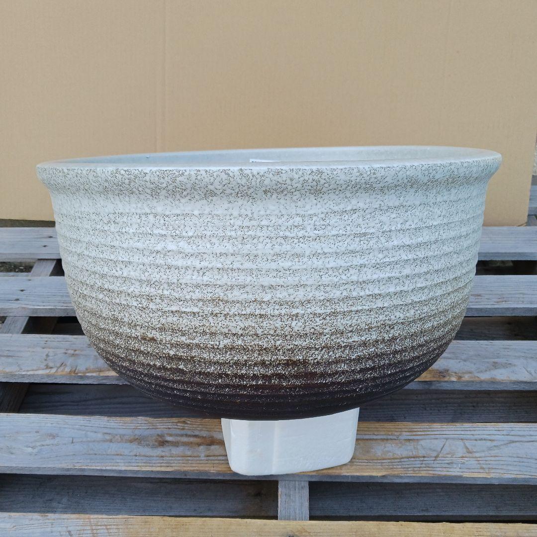 新品　特大Φ50　陶器　睡蓮鉢　メダカ鉢　難有　白　ホワイト　ルーバー高級LWH