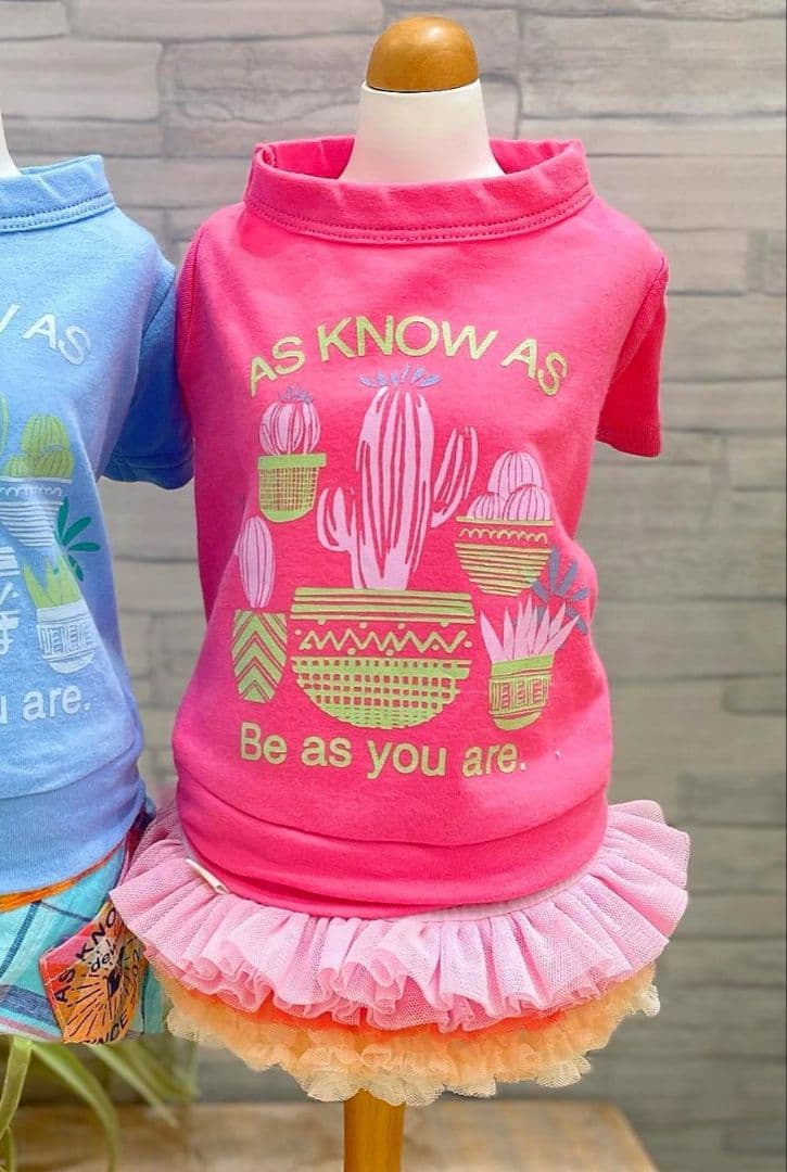 A チュチュデチュチュ　ピンク系　asknowasdewan アズノウアズデワン