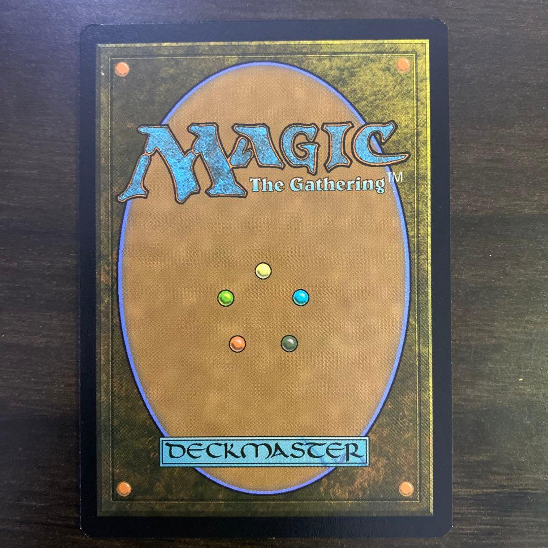MTG 時を駆けるタートルズ 日本語フラクチャーfoil