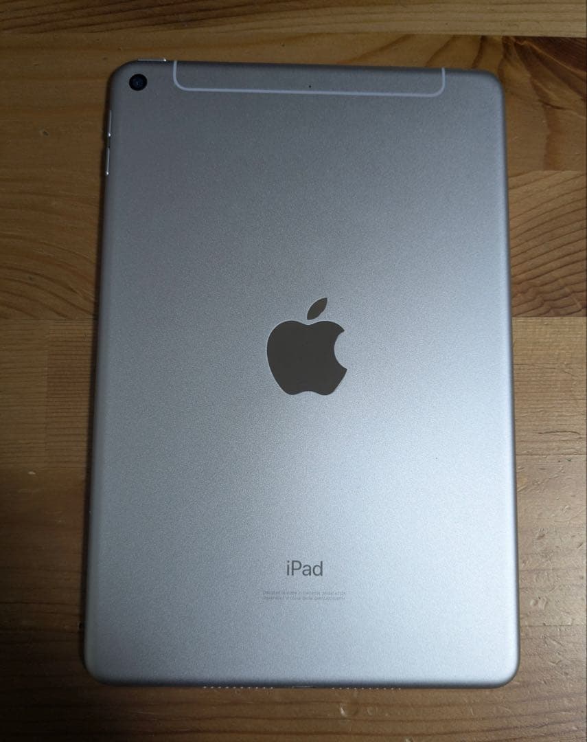 iPad mini 第5世代　cellular セルラー　256GB